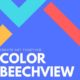 Color Beechview Workshop